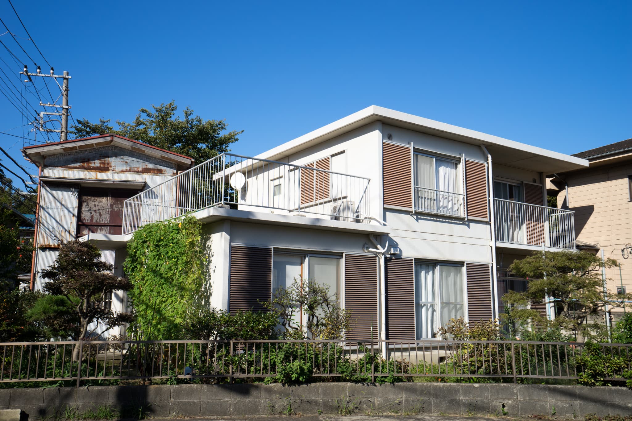 写真